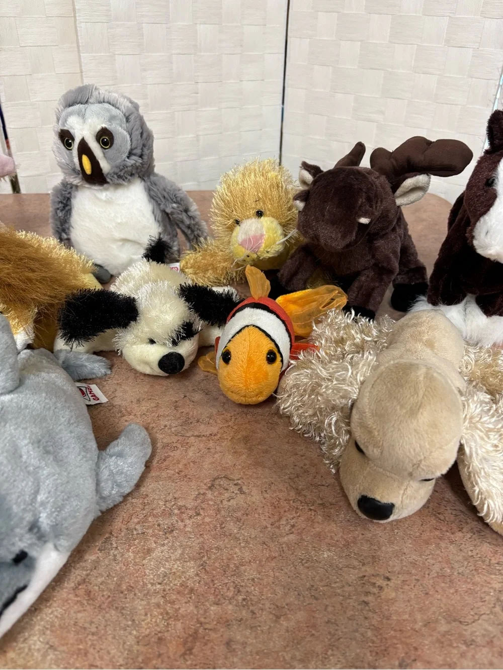 Bundle of 14 Webkinz stuffed animals